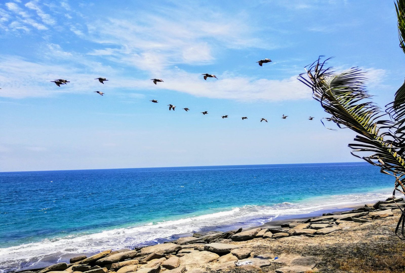 Experiencias y fotos de viajes con Samay Ecuador